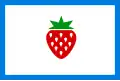 Flag of Searcy County, Arkansas