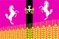Flag of Shkurinskaya
