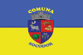 Flag of Socodor