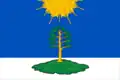 Flag of Solnechny