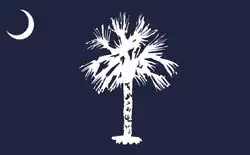 The initial proposed flag