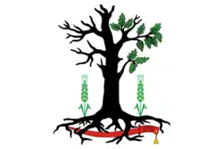 Flag of Starodubsky District