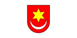 Flag of Sveti Ivan Zelina, Croatia