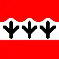 Flag of Tõlliste Parish