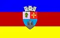 Flag of Tălmaciu