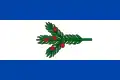 Flag of Tisá