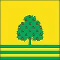 Flag of Trușeni
