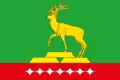 Flag of Tungokochensky District