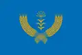 Flag of Tuymazinsky District