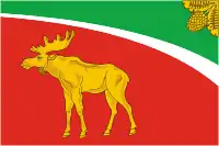 Flag of Tyukhtetsky District