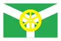 Flag of Uzlovaya
