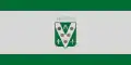 Flag of Vászoly