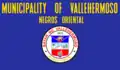 Flag of Vallehermoso
