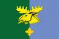 Flag of Vazhiny