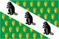 Flag of Verkhneye Dubrovo