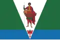 Flag of Verkhnetoyemsky District