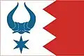 Flag of Vlksice