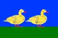 Flag of Yaransk