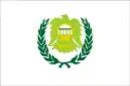 Flag of Bāwīṭ