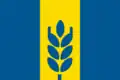 Flag of Olt County