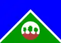Flag of Alta Floresta d'Oeste