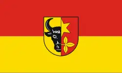 Brüel