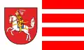 Flag of Dithmarschen