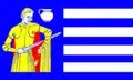Flag of Tellingstedt