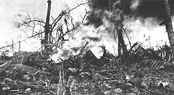 Soldiers engaging Japanese positions on Okinawa with a flamethrower.