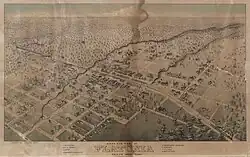 Flatonia in 1881