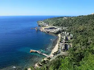 Panoramic