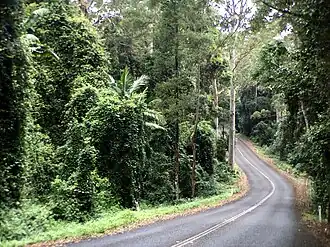Following the mountain's ridge on Mount Glorious Road through D'Aguilar National Park, 2016