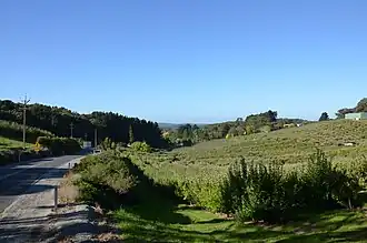 Orchards near Forest Range