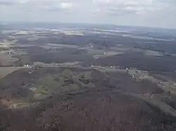 Forests in southeastern Washington Township