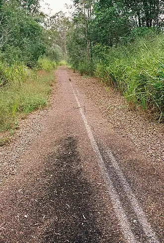Old Bruce Highway, Gootchie, 2013