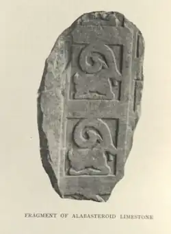 Fragment of Alabasteroid Limestone