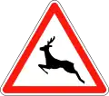 Wild animals