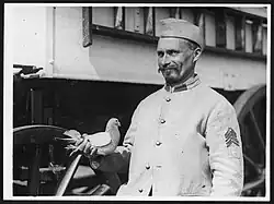A French homing pigeon and its trainer