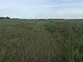 South side of race track.