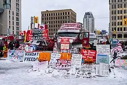A photo of trucks decorated with freedom convey posters and materials on parliament hill.