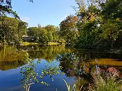 Fremont Pond in Sleepy Hollow Manor neighborhood