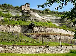 Photograph showing German vineyards on terraces. The vine has been able to conquer this northern area with a cold climate with terraced masonry vineyards; it is managed with high fences. On top of the hill, a house with a terrace overlooks the vines.