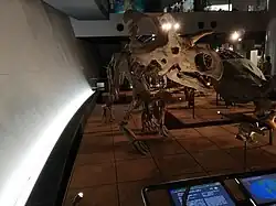 Medusaceratops