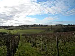 A general view of Fussey