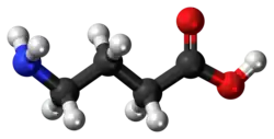 GABA molecule