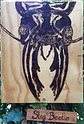 Nature Trail Stag beetle