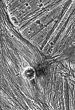 An image of between Uruk Sulcus, taken by the Galileo spacecraft in June 1996.[20][21][22] The dark crater in the image is En-zu.[23]