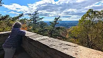 Vista