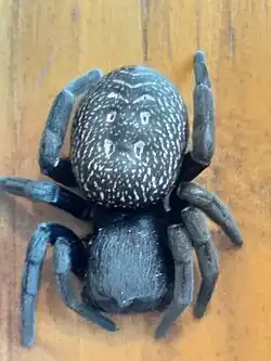 G. fumosa