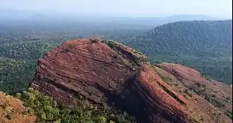 Gandhari Khilla